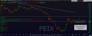 PEIX daily 2