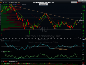 MU daily