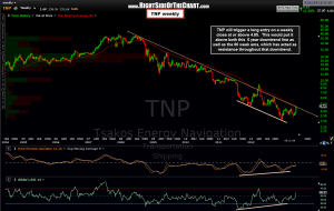TNP weekly