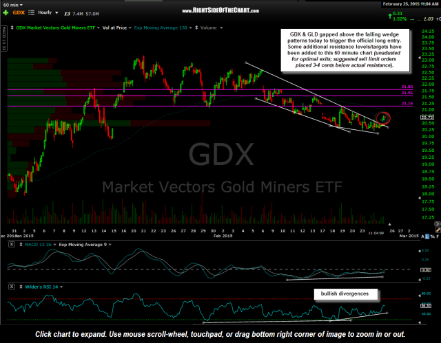 GDX 60 minute Feb 25th