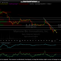 MBII daily Feb 18th