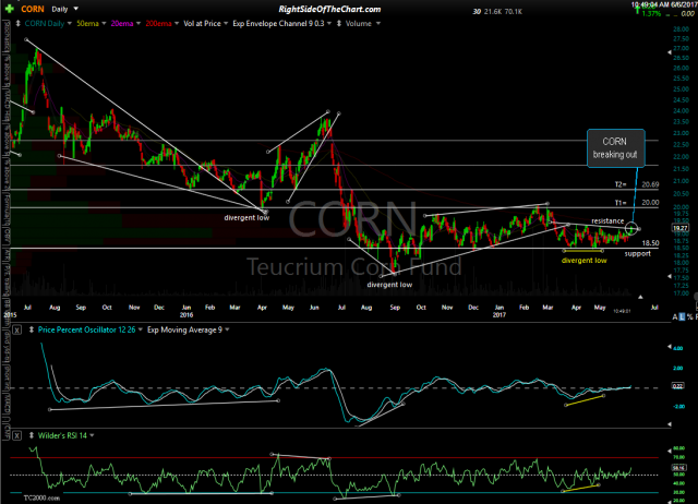 CORN daily June 6th