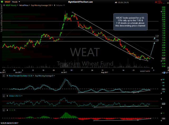 WEAT daily Aug 31st