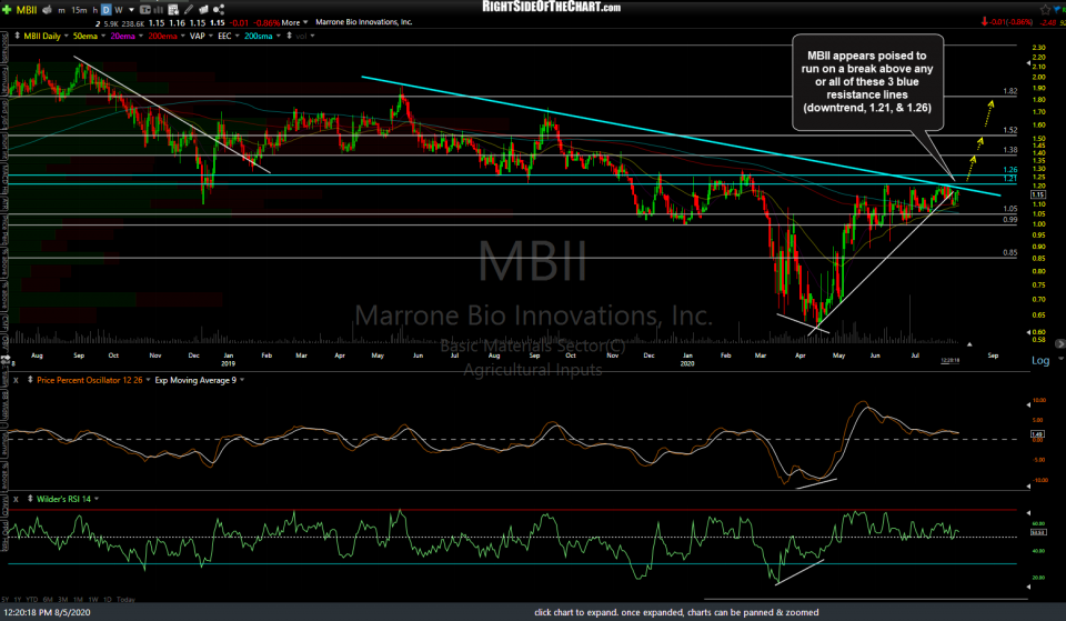 MBII daily Aug 5th
