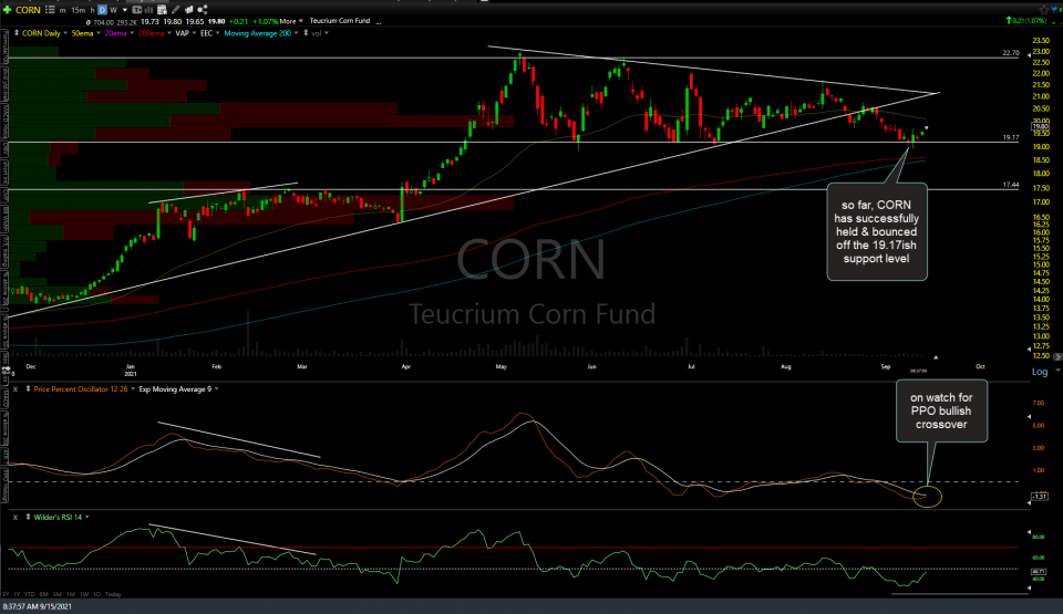 CORN daily Sept 15th