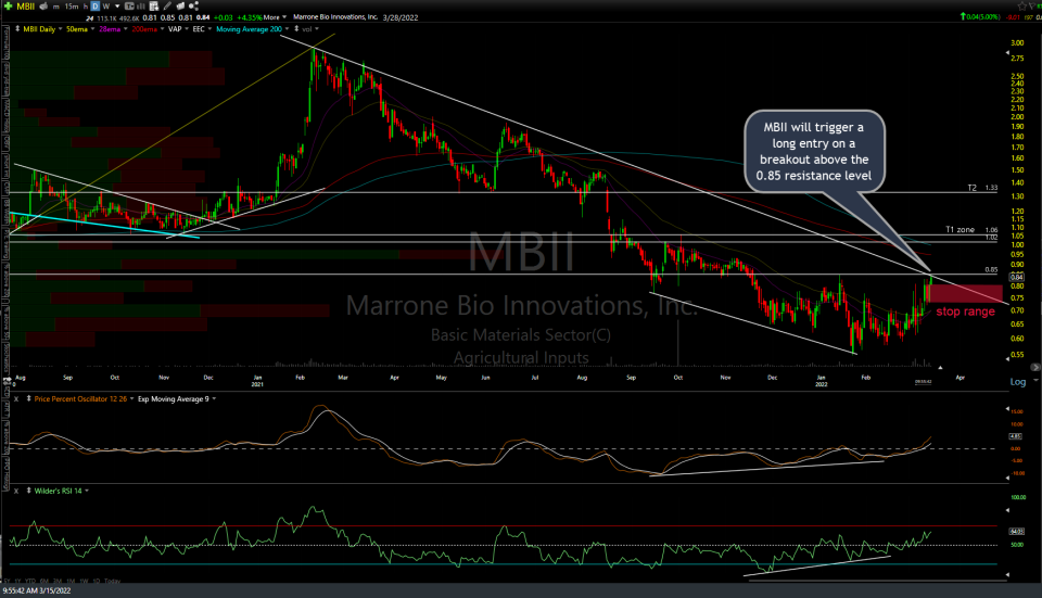 MBII daily March 15th
