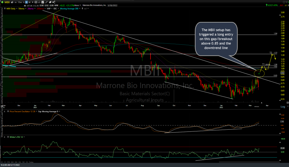MBII daily March 17th