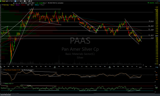 PAAS daily Aug 4th