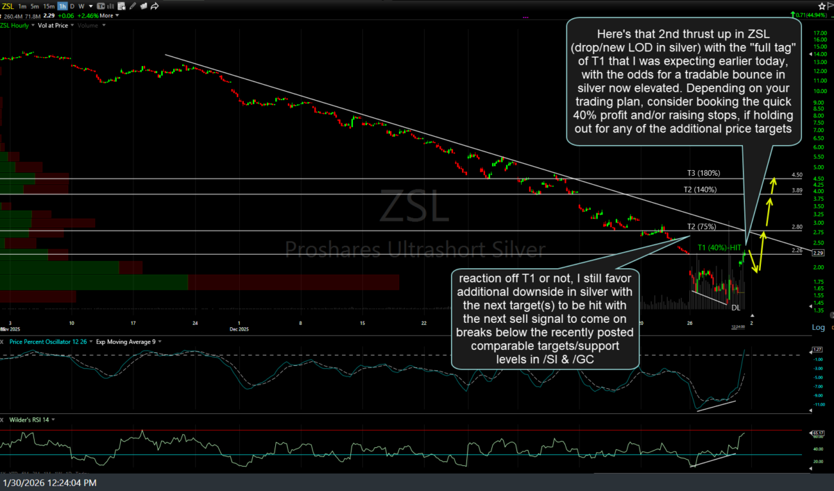 ZSL 60m 2 Jan 30th