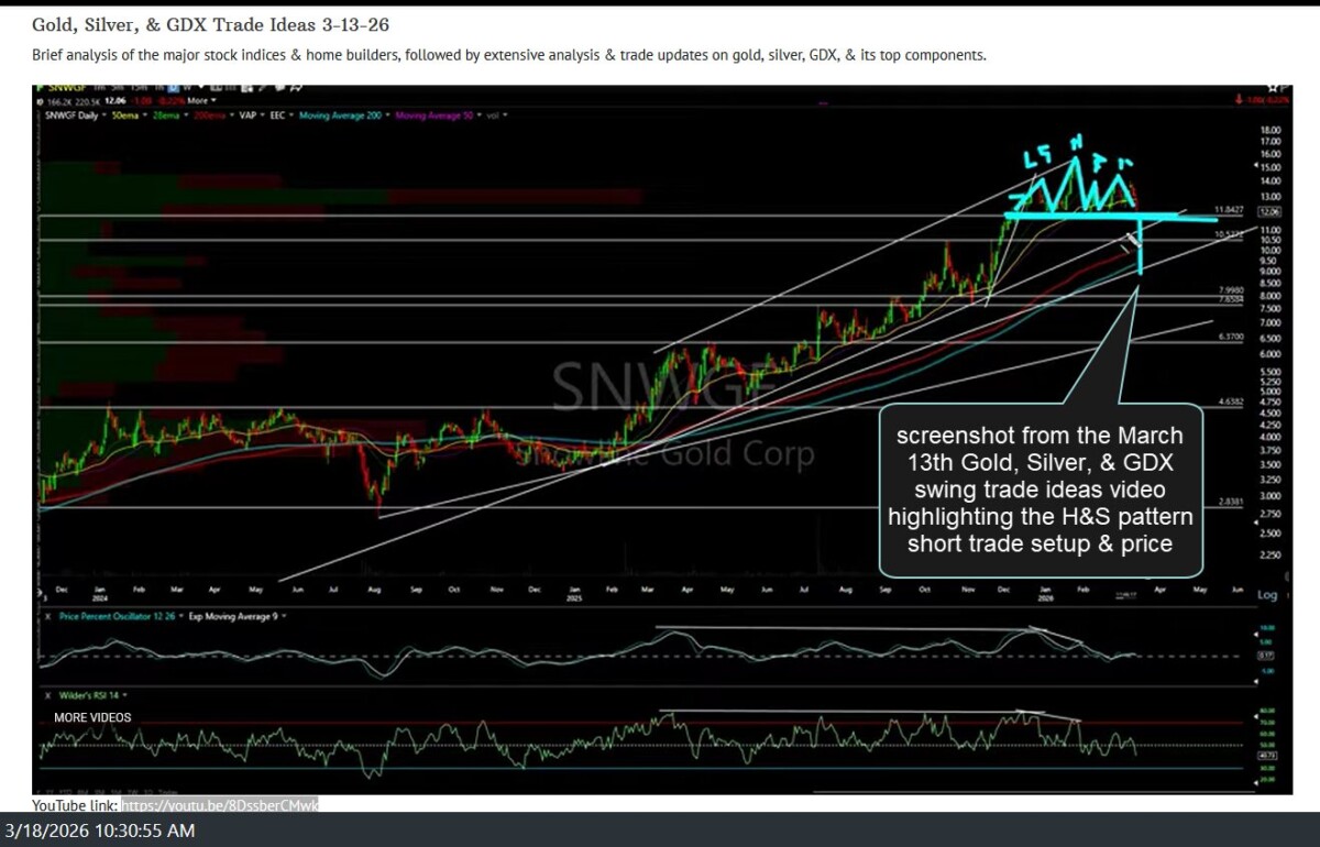 SNWGF March 13th video screenshot