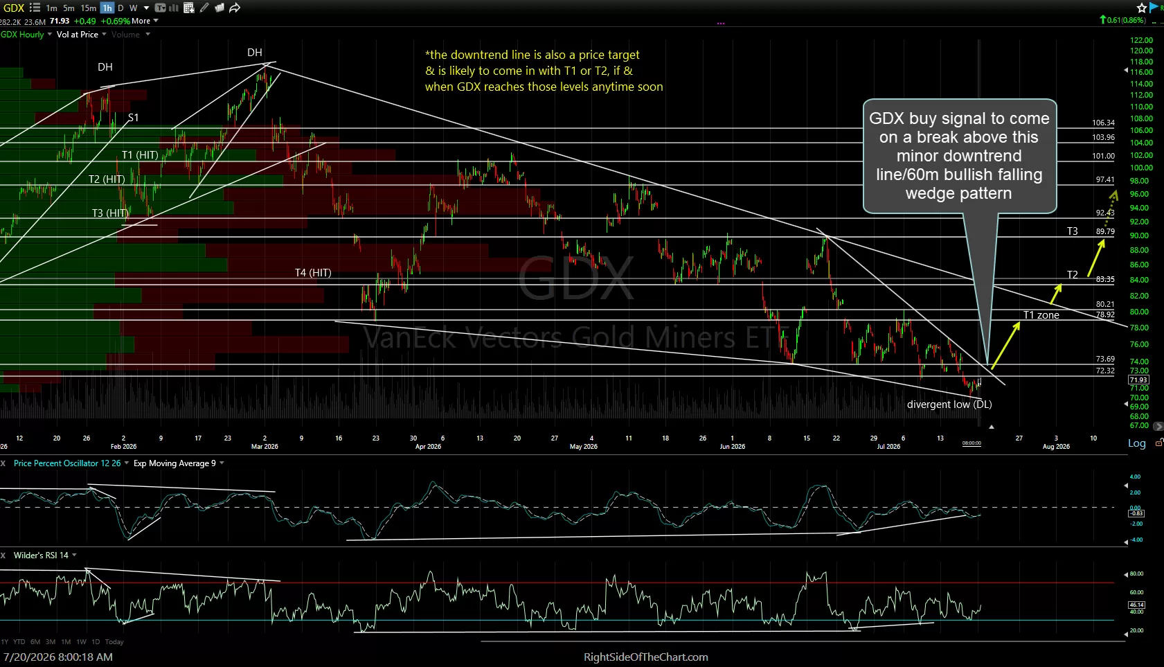 GDX 60m July 20th